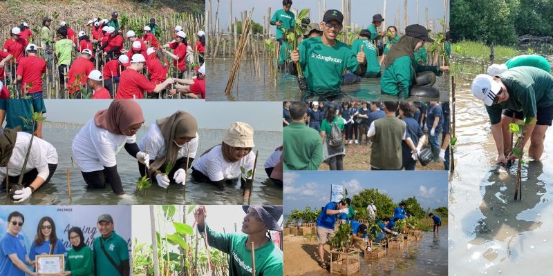 Contoh CSR Perusahaan dan Referensi Program Menarik untuk Dilakukan